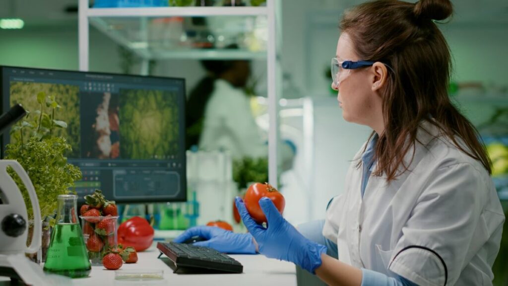 wireless temperature monitoring system