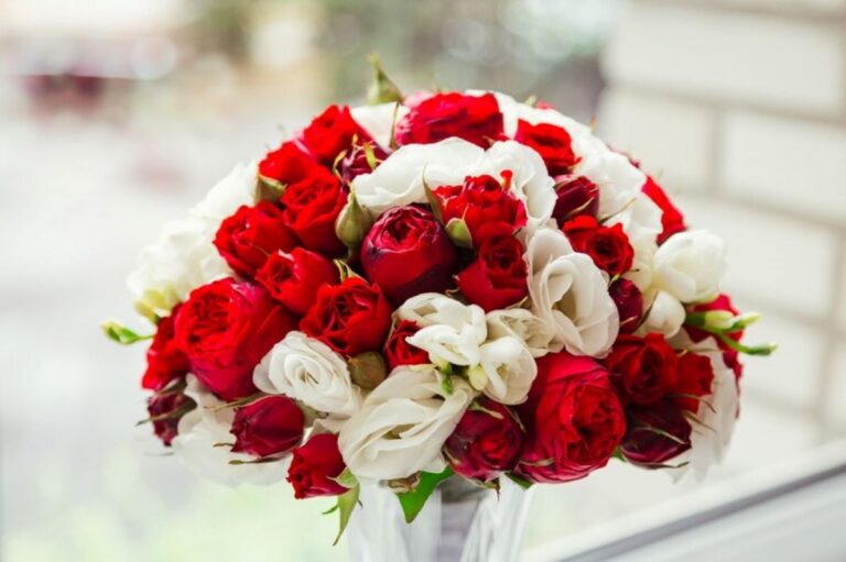 cammeray florist