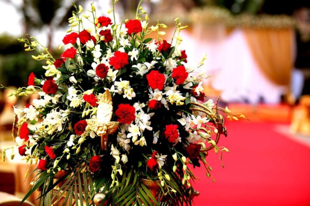 cammeray florist